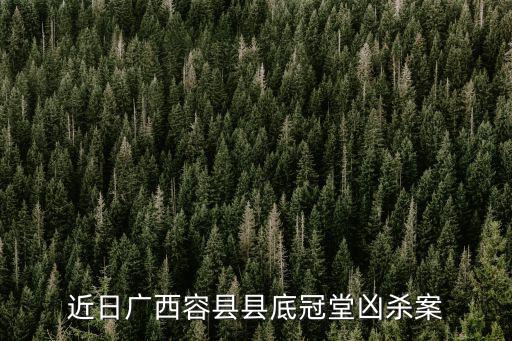 近日廣西容縣縣底冠堂兇殺案