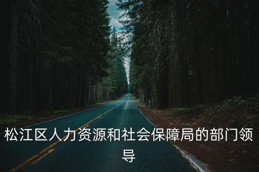 松江區人力資源和社會保障局的部門領導