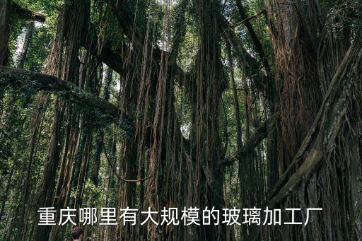 重慶哪里有大規(guī)模的玻璃加工廠