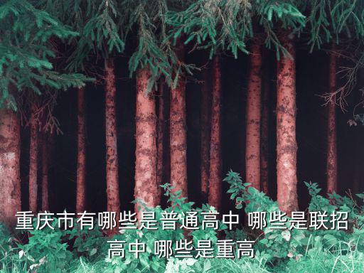 重慶市非聯招普高有哪些，重慶市有哪些是普通高中 哪些是聯招高中 哪些是重高