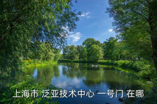 上海市誠龍，上海市建配龍市場在那里啊