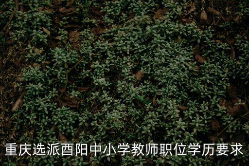 重慶選派酉陽中小學教師職位學歷要求