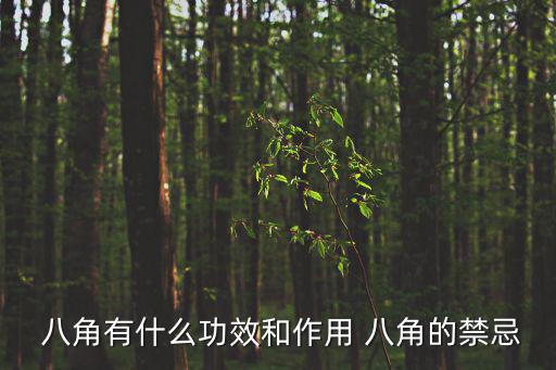  八角有什么功效和作用 八角的禁忌