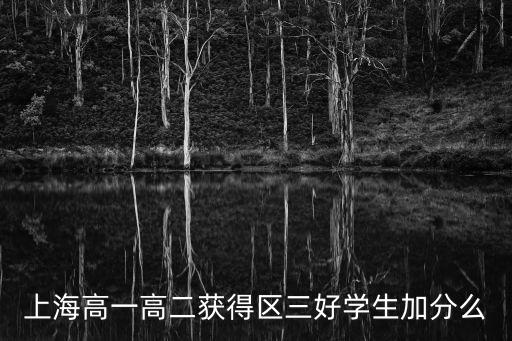 上海高一高二獲得區三好學生加分么