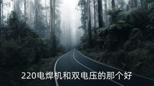 220電焊機和雙電壓的那個好