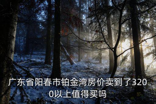 廣東省陽春市鉑金灣房價賣到了3200以上值得買嗎