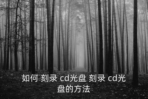 如何 刻錄 cd光盤 刻錄 cd光盤的方法