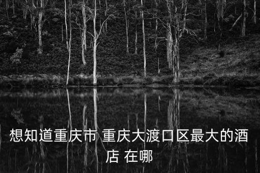 想知道重慶市 重慶大渡口區最大的酒店 在哪