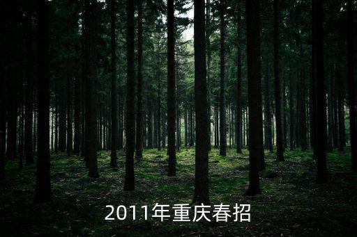 2011年重慶春招