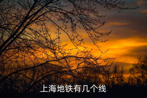 上海地鐵有幾個線