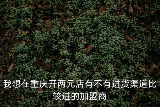 我想在重慶開兩元店有不有進貨渠道比較進的加盟商