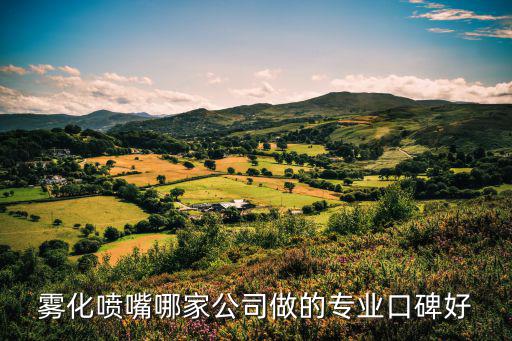 霧化噴嘴哪家公司做的專業(yè)口碑好