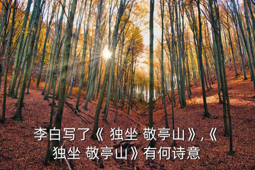 李白獨坐敬亭山,李白"獨坐敬亭山"