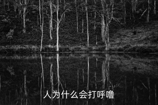 人為什么會打呼嚕