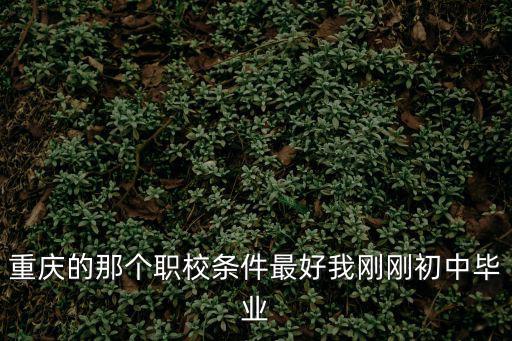重慶的那個職校條件最好我剛剛初中畢業(yè)