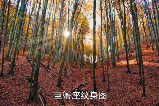  巨蟹座紋身圖