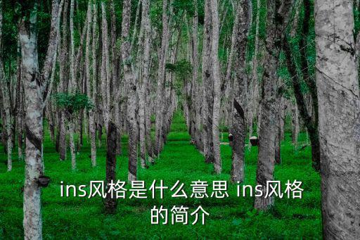 ins風簡筆畫,ins風:簡約時尚不失得體