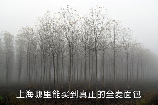 上海哪里能買到真正的全麥面包