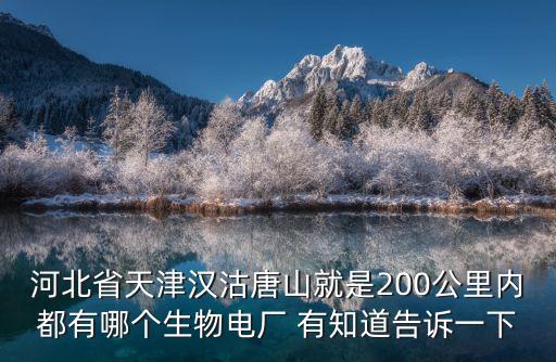 天津市火電儲能，全國火電公司的排名
