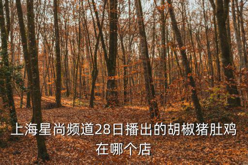 上海星尚頻道28日播出的胡椒豬肚雞在哪個店