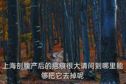 上海市菲菲肌膚修復中心，上海菲菲在哪里