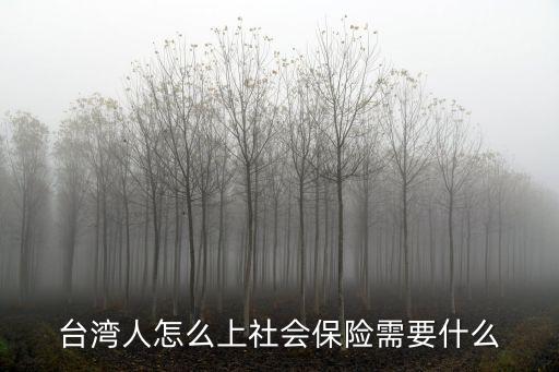 臺灣人怎么上社會保險需要什么
