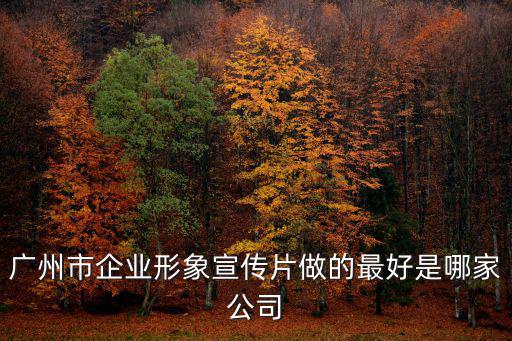 廣州市企業形象宣傳片做的最好是哪家公司