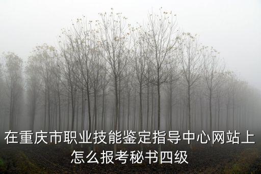 在重慶市職業技能鑒定指導中心網站上怎么報考秘書四級