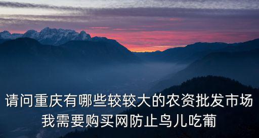 請問重慶有哪些較較大的農資批發市場我需要購買網防止鳥兒吃葡