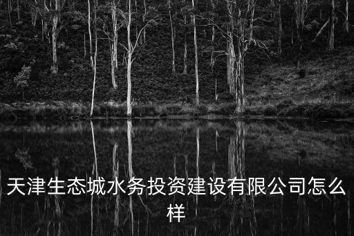 天津生態(tài)城水務(wù)投資建設(shè)有限公司怎么樣