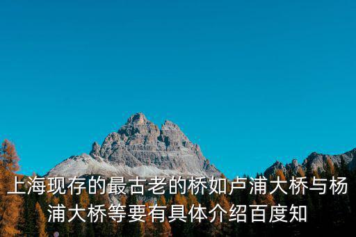 上海現(xiàn)存的最古老的橋如盧浦大橋與楊浦大橋等要有具體介紹百度知