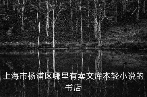 上海市楊浦區哪里有賣文庫本輕小說的書店