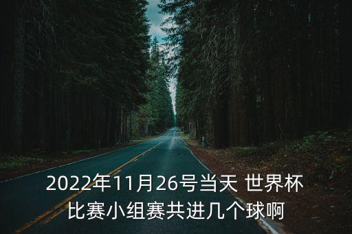 2022年11月26號當(dāng)天 世界杯比賽小組賽共進(jìn)幾個球啊