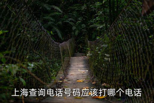 上海查詢電話號(hào)碼應(yīng)該打哪個(gè)電話