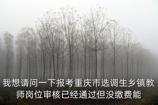 重慶市屬教育崗，2012年重慶市南岸區教師崗位表下載 報考崗位查看