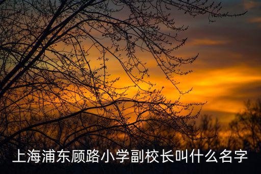 上海浦東顧路小學副校長叫什么名字