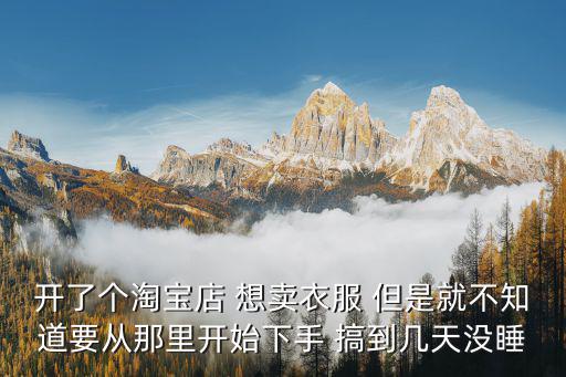 開了個淘寶店 想賣衣服 但是就不知道要從那里開始下手 搞到幾天沒睡