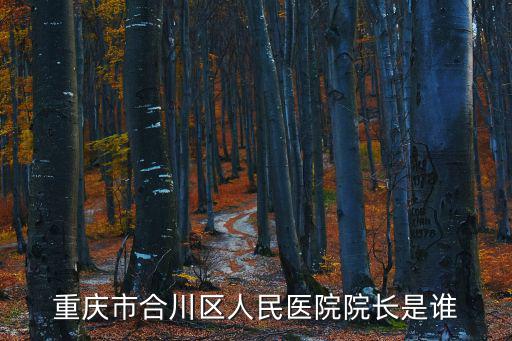 重慶市合川區人民醫院院長是誰
