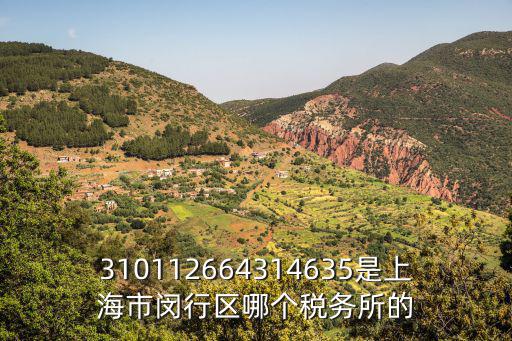 310112664314635是上海市閔行區哪個稅務所的