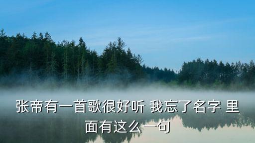 張帝有一首歌很好聽 我忘了名字 里面有這么一句