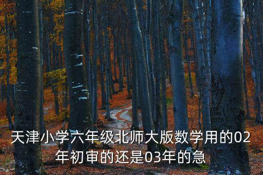 天津小學(xué)六年級(jí)北師大版數(shù)學(xué)用的02年初審的還是03年的急