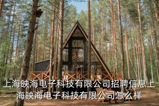 上海映海電子科技有限公司招聘信息上海映海電子科技有限公司怎么樣