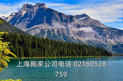 上海搬家公司電話 02160528759