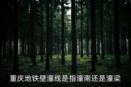 重慶地鐵壁潼線是指潼南還是潼梁