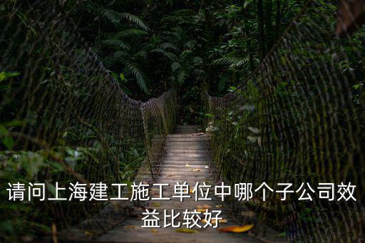 上海市君甫建筑工程有限公司，請問林同琰工程顧問公司在上海的地址在哪謝謝