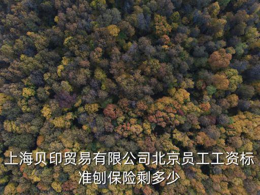 上海市貝馳貿易有限公司，上海番禺路390號時代大廈19樓EF座是什么公司謝謝本人正在找