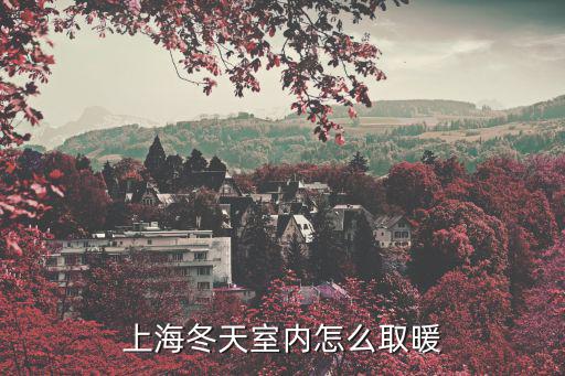 上海冬天室內怎么取暖