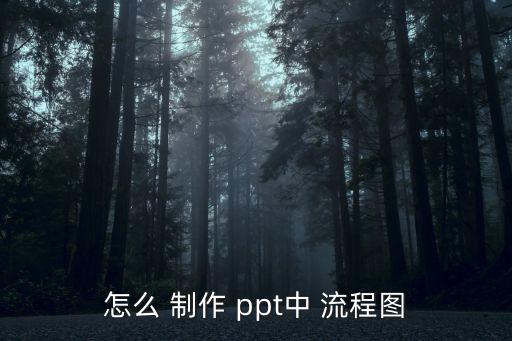 怎么 制作 ppt中 流程圖