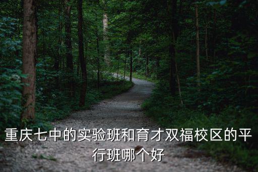 重慶七中的實驗班和育才雙福校區的平行班哪個好