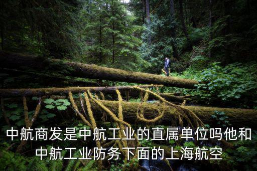 中航商發(fā)是中航工業(yè)的直屬單位嗎他和中航工業(yè)防務(wù)下面的上海航空